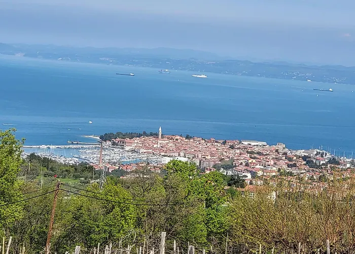 Adriatic View