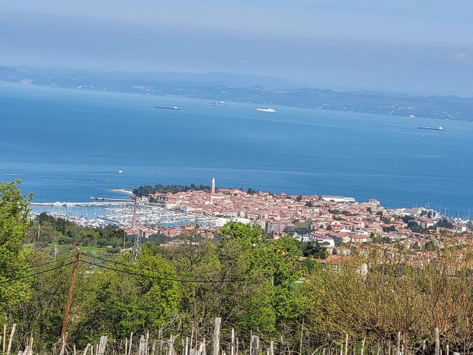 Adriatic View